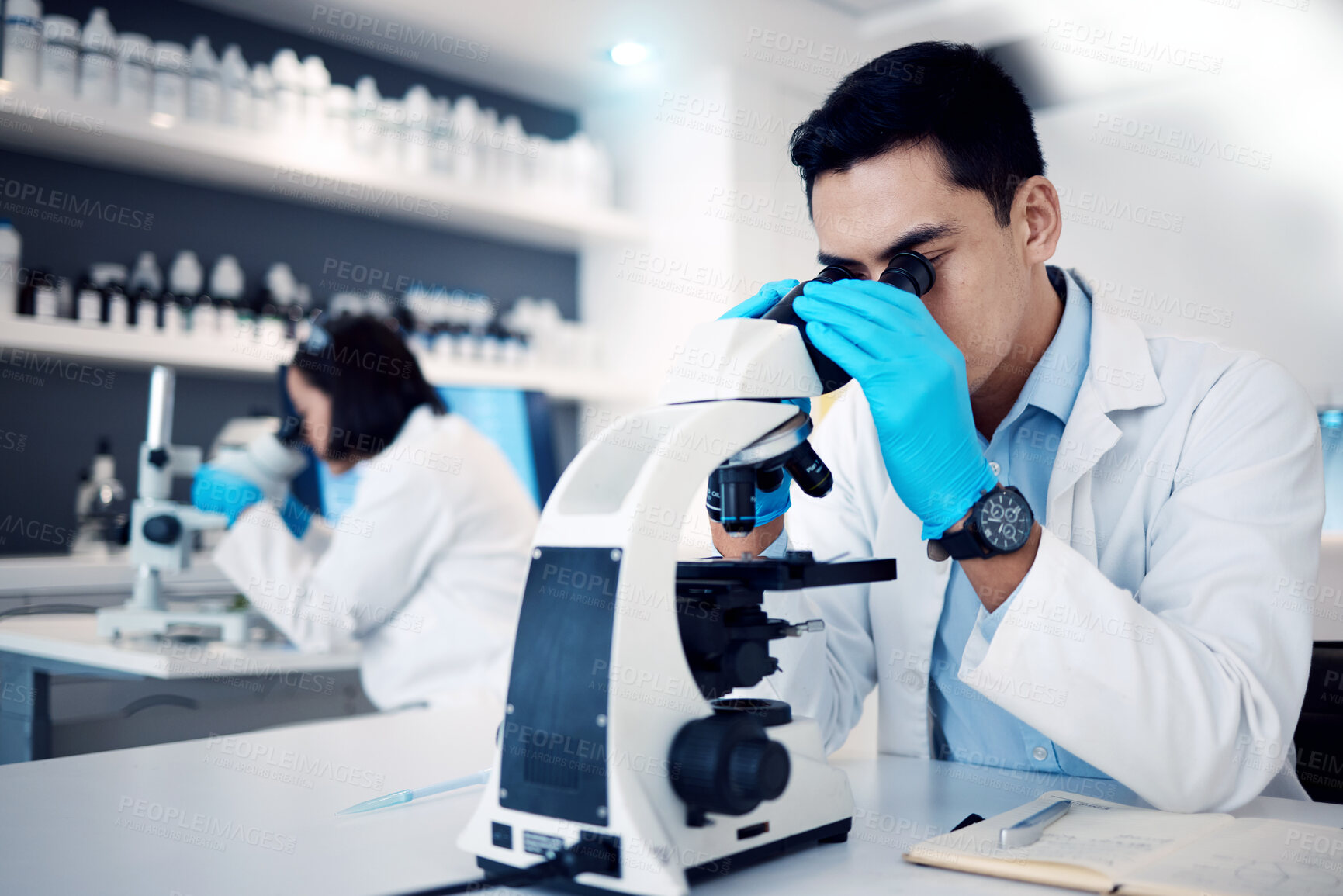 Buy stock photo Science, research and man with medical microscope for exam, analysis and sample study in laboratory. Healthcare, medicine and male scientist use equipment for lab test, analytics and biotechnology
