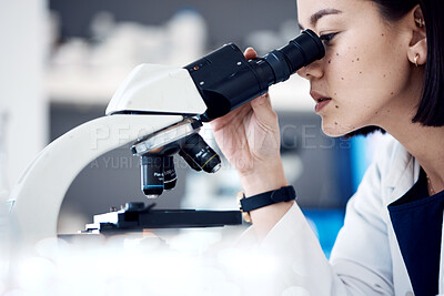 Buy stock photo Science laboratory, microscope analysis and scientist research bacteria virus for healthcare innovation. Biotechnology lab, medical development study and Asian woman check micro biology test sample