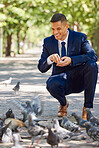 Business, man and feeding birds outdoor in the park during a work break for happiness and peace. Businessman, feed and hungry pigeons eating in a nature garden during a work lunch break