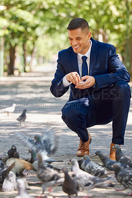 Buy stock photo Business, man and feeding birds outdoor in the park during a work break for happiness and peace. Businessman, feed and hungry pigeons eating in a nature garden during a work lunch break