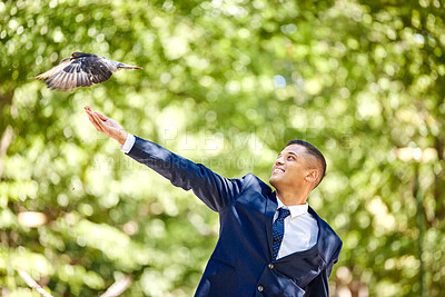 Buy stock photo Business man, bird and nature park for freedom, success and start of new opportunity as leader while outdoor with a smile and happiness. Entrepreneur with animal on green tree background for hope