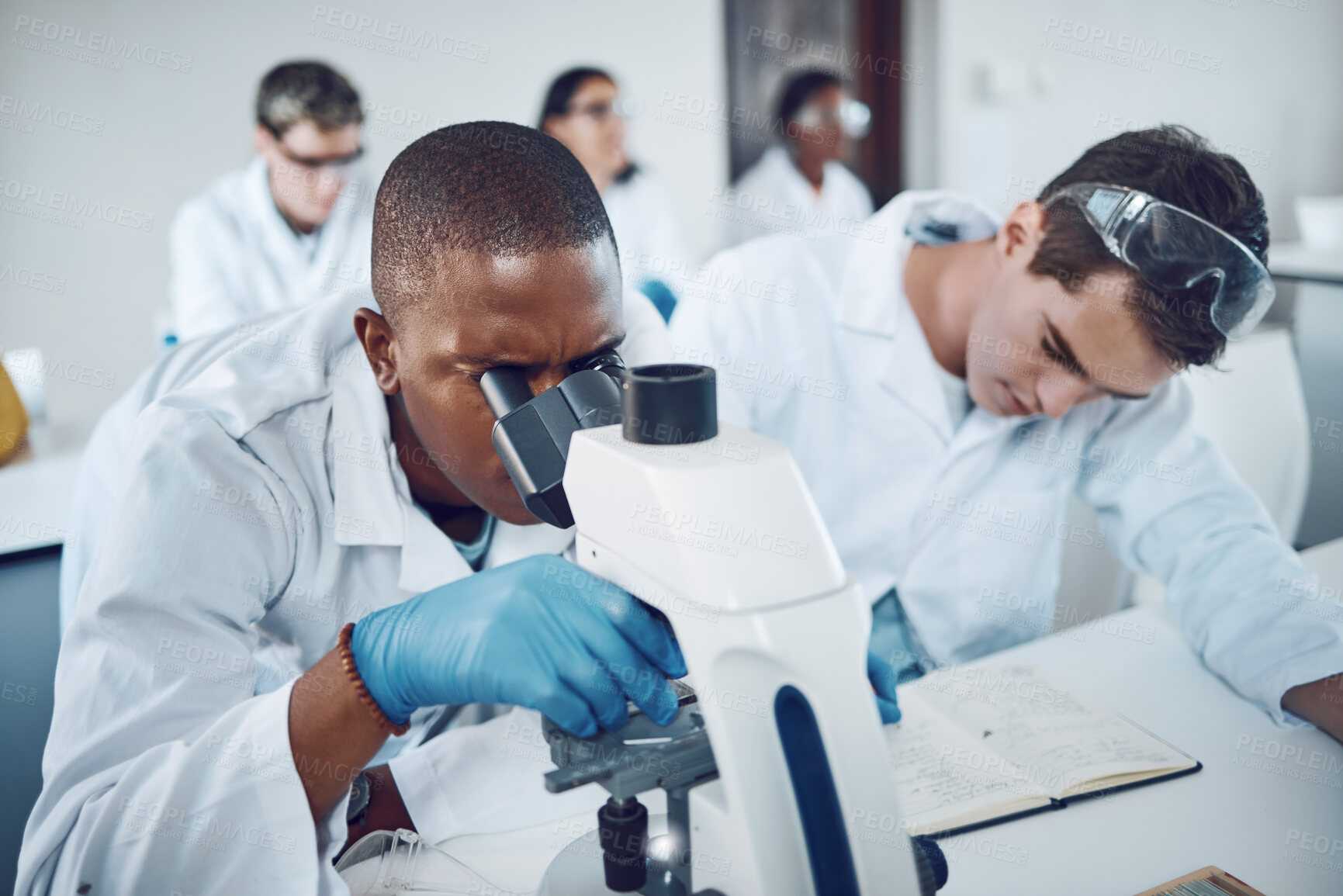 Buy stock photo Microscope, science team and medical analysis for research innovation, planning results and scientists working in laboratory. Microbiology, report collaboration and biotechnology analytics in lab