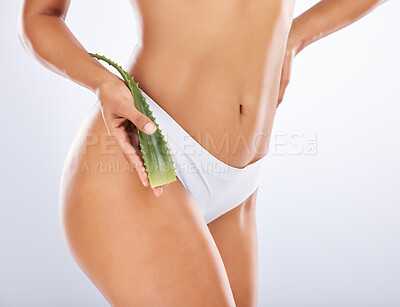 Buy stock photo Beauty, skincare and aloe vera with legs of woman for healing, health and sunburn. Soothing, holistic and medicine with model and plant leaf for treatment, natural and wellness in white background