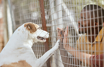 Buy stock photo Dog, adoption and animal shelter with a black man volunteer working at a rescue center for foster care. Pet, charity and community with a male and puppy at a kennel for adopting canine pets
