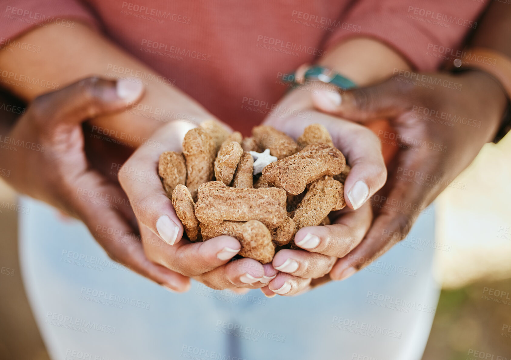 Buy stock photo Hands, dog treats and animal shelter with a volunteer black couple together at a rescue or adoption center. Help, training and charity with a man and woman activist at work for relief or community