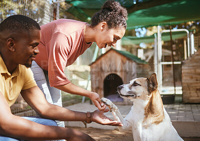 Buy stock photo Black couple, love or petting dog in animal shelter, foster kennel or adoption center. Smile, happy or love man and woman bonding and touching pet canine for foster care or community volunteer work