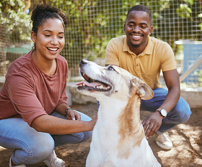 Buy stock photo Black couple, dog and pet adoption at animal shelter for welfare, charity or help for homeless pets. Love, foster care and happy man and woman bonding, caring and touching animal at kennel outdoors.