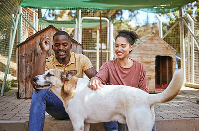 Buy stock photo Animal shelter, adoption and dog with a black couple petting a canine at a rescue center as volunteer workers. Love, charity and community with a man and woman at a kennel to adopt or foster a pet