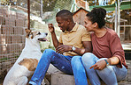 Adoption, couple and feeding dog at vet, bonding and having fun. Foster care, interracial love and happy man and woman giving pet food at animal shelter, playing or enjoying quality time together.