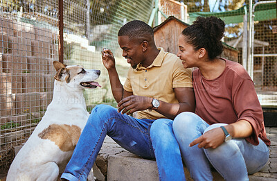 Buy stock photo Adoption, couple and feeding dog at vet, bonding and having fun. Foster care, interracial love and happy man and woman giving pet food at animal shelter, playing or enjoying quality time together.