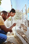 Love, dog and couple at an animal shelter for adoption at an outdoor rescue center or pound. Welfare, charity and young man and woman doing volunteer work with a foster puppy and pet at local kennel.