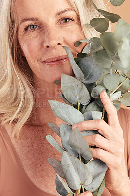 Buy stock photo Mature woman, face or skincare plants on studio background in natural dermatology, Canada organic healthcare or vegan wellness. Portrait zoom, smile or middle aged beauty model with eucalyptus leaf