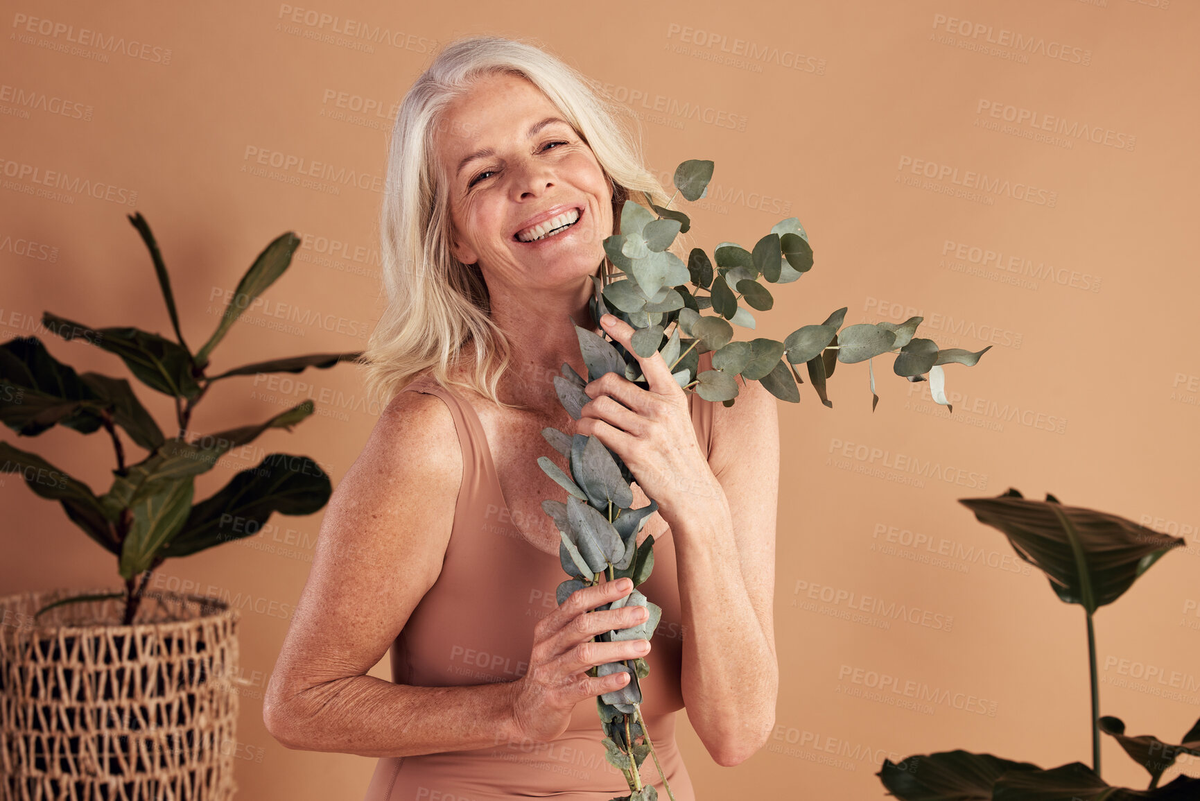 Buy stock photo Senior, woman and beauty with leaves for skincare, nature and organic product for wellness on studio background. Happy, natural green cosmetics and plant aesthetic, dermatology for antiaging portrait