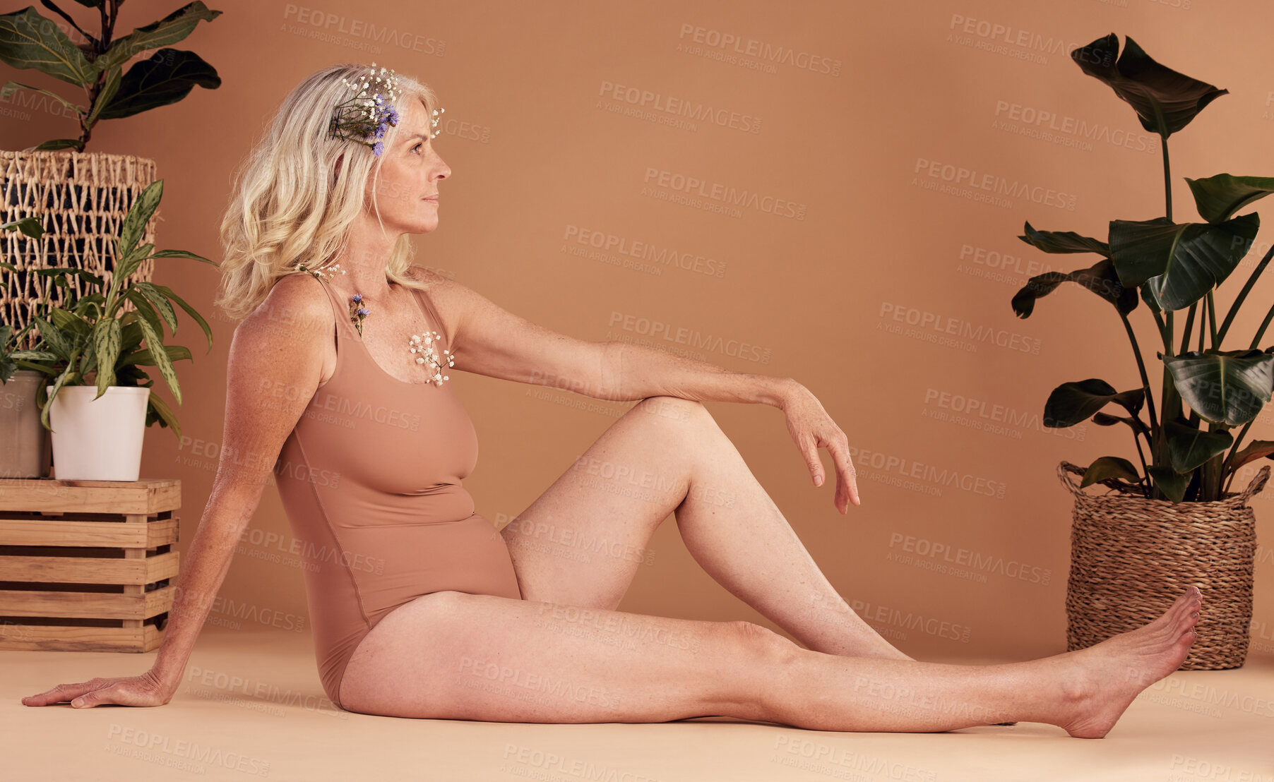 Buy stock photo Beauty, real and natural with a senior woman in studio on a brown background with plants for body care. Wellness, luxury and thinking with an attractive mature female sitting on the floor for health