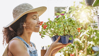 Buy stock photo Shopping flowers, plants and customer at small business or startup for eco friendly store, commerce and retail. Young woman with floral gardening product for spring sale, promotion and offer outdoor