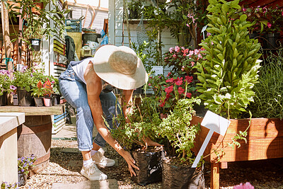 Buy stock photo Plant, flowers and woman with small business gardening for eco friendly, sustainability and floral industry working on green growth. Garden worker, seller or supplier of flower or plants spring sale