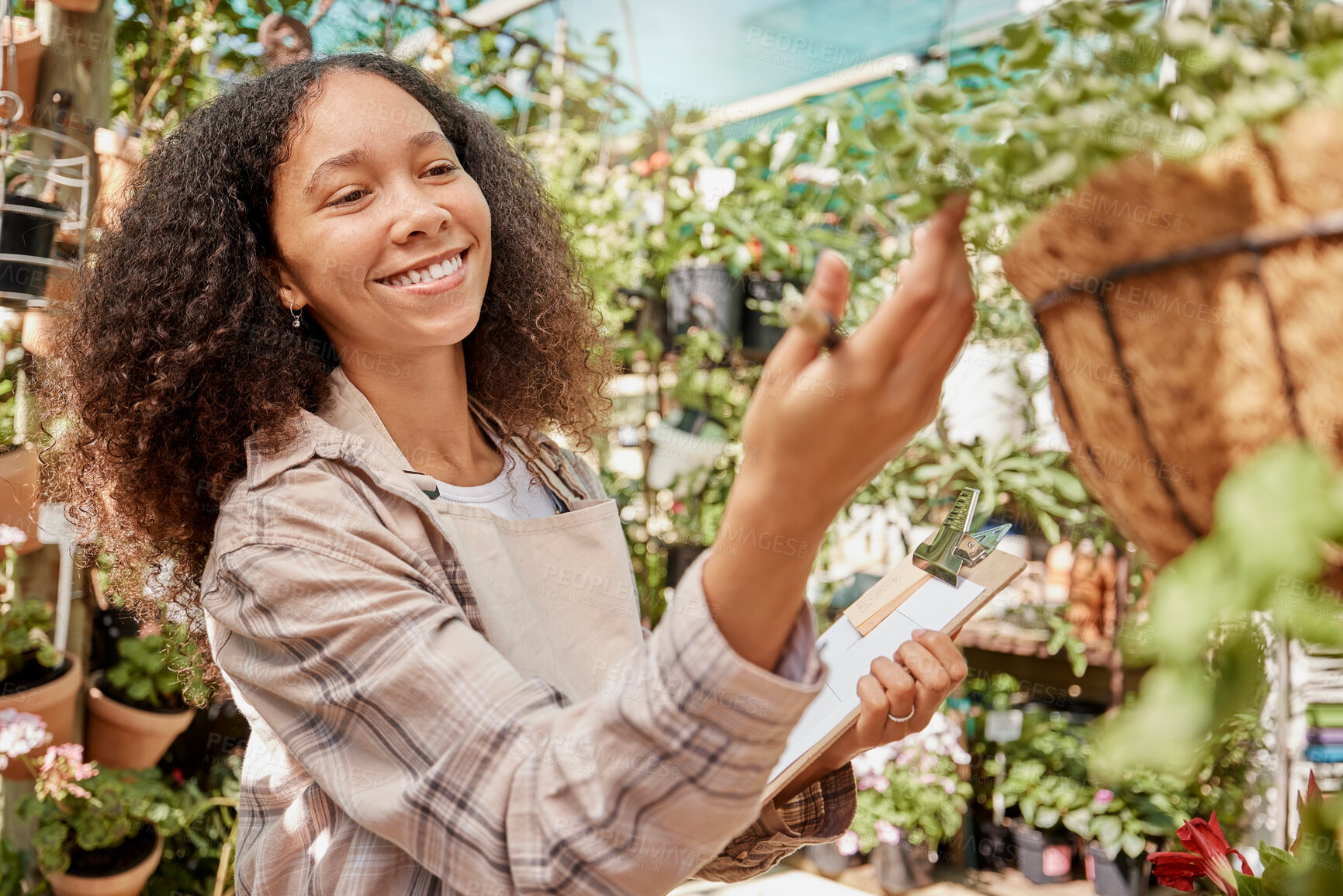 Buy stock photo Plant, nursery and woman worker with checklist doing quality assurance on farming stock. Sustainability, small business and growth, happy florist startup manager in commercial garden checking plants.