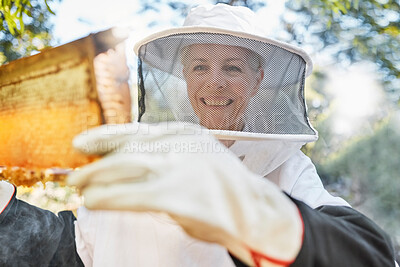 Buy stock photo Beekeeping, farm and woman beekeeper in the honey production industry working on sustainable field. Eco friendly, farming and female farmer busy with natural bee honeycomb process in agro environment