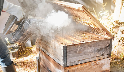 Buy stock photo Bee farming, wood box and smoke with nature and beekeeping, honey extraction and natural product outdoor. Farmer, beekeeper and beehive, organic with manufacturing and production process with bees.