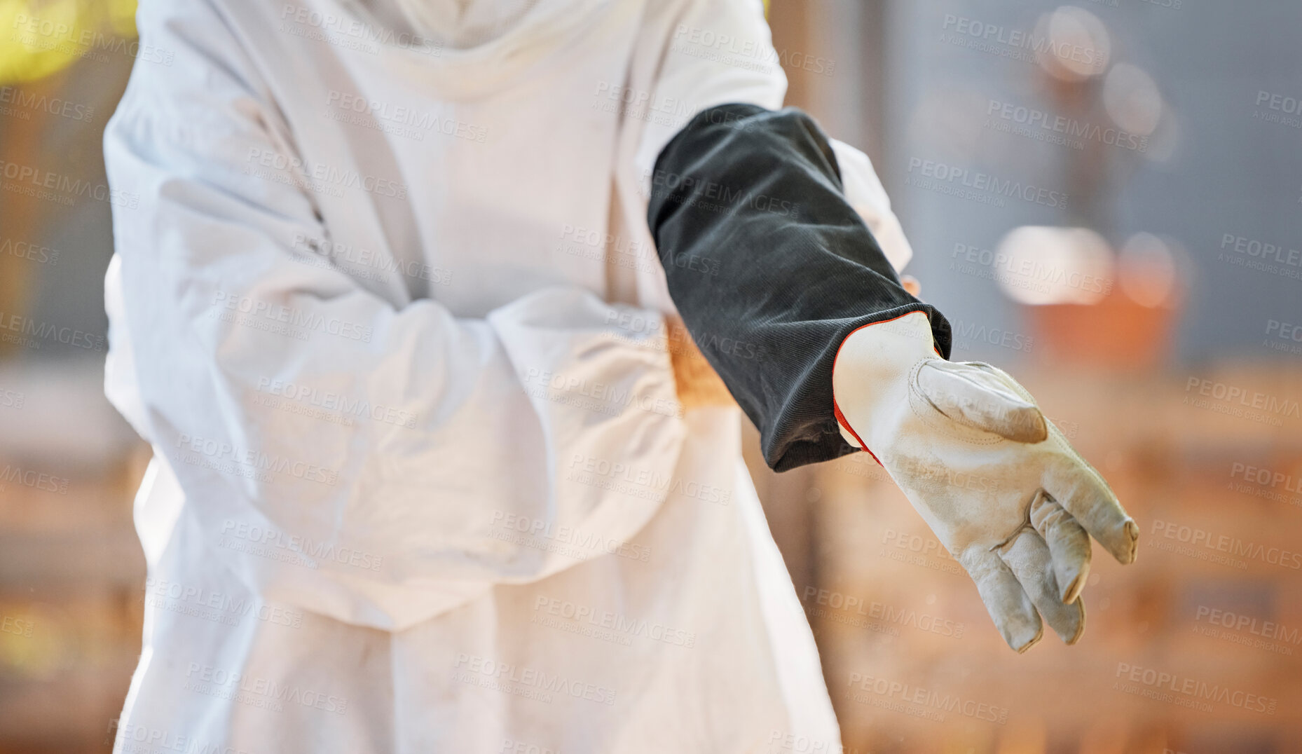 Buy stock photo Beekeeper, hand and glove on bee farming worker ready for maintenance, harvest and manufacturing of honey in a factory, warehouse or workshop. Hands of worker with safety gear for working with bees