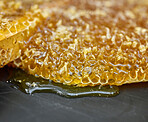 Closeup honeycomb, natural product and gold food for health, wellness and sweet nutrition at bee farm. Beeswax, honey and zoom of drip, liquid and production for healthy syrup for diet in factory