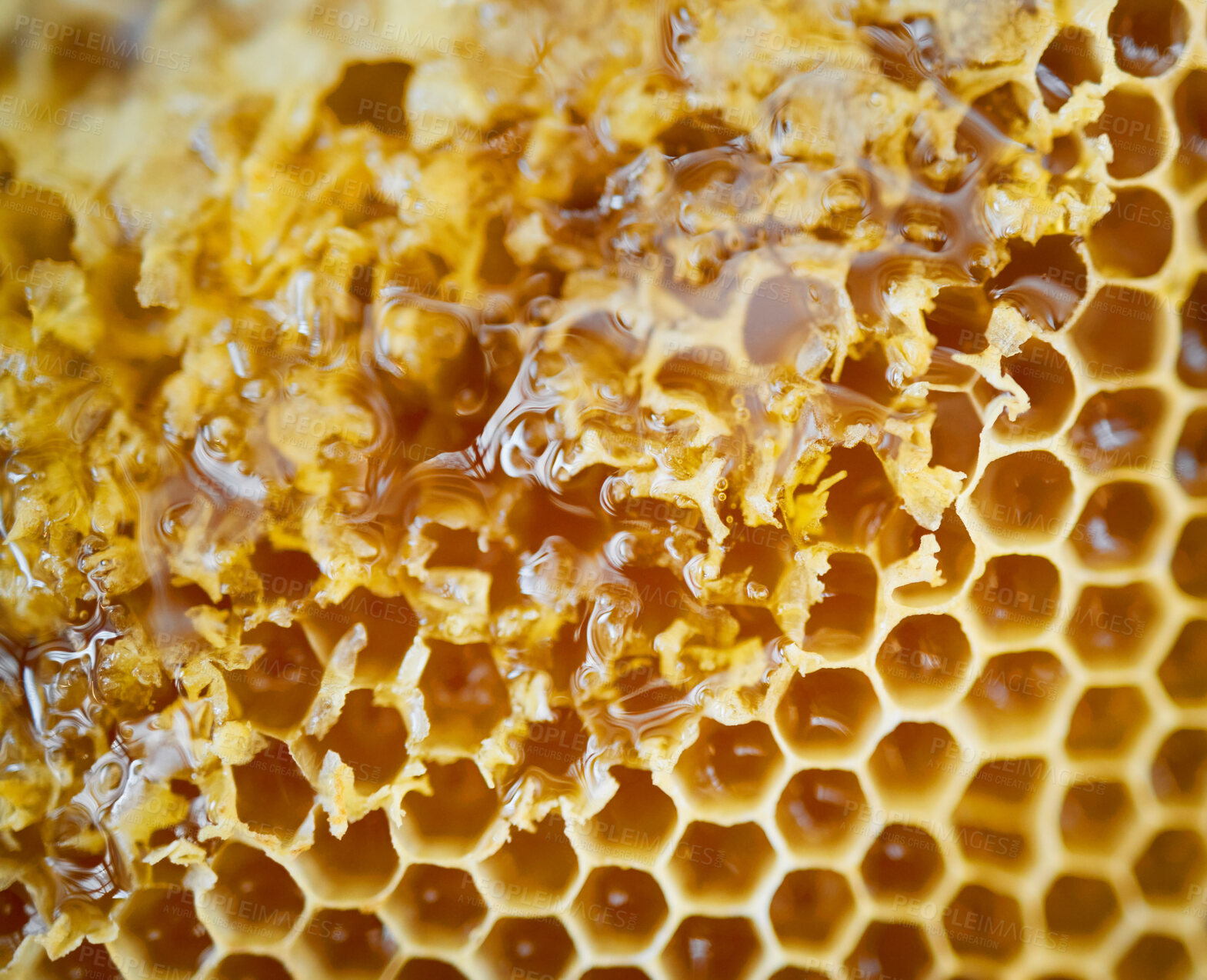 Buy stock photo Honey, natural honeycomb and closeup with gold, healthy and organic product for wellness, sweet and sticky. Macro zoom, apiculture and production for bee agriculture, nutrition and harvesting process