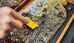 Hands, beekeeper or upcapping tool in honey harvest, sustainability agriculture or bees product on countryside food farming. Zoom on insect scraper, honeycomb or hive equipment for sweet syrup farmer