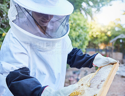 Buy stock photo Woman, beekeeper hat or wooden frame check in honey harvesting, sustainability agriculture or nature countryside farming. Worker, insects or bees farmer in sweet syrup, healthy food or wax production