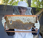 Bees, senior woman and honey production of a agriculture worker happy about bee produce. Sustainability, eco friendly and farming growth of a elderly woman in the countryside or garden with happiness