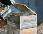 Smoker, box and hands of beekeeper at farm to relax and calm bees. Beekeeping, sustainability and agriculture with person, worker or employee with equipment for smoking bugs for organic honey harvest