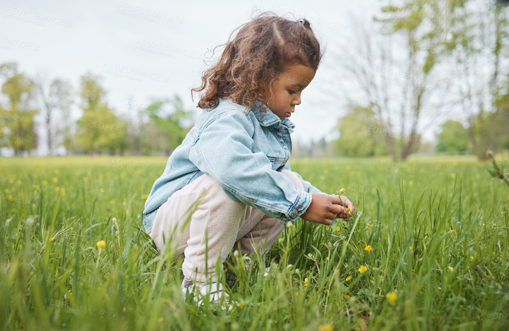 Buy stock photo Grass, flowers and children with a girl in the park alone during summer or spring in nature with mockup. Field, green and kids with a female child picking a dandelion flower in a garden outdoor