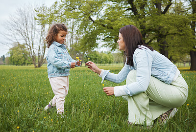 Buy stock photo Family, park and flower with a mother and girl child bonding together on a grass field during summer or spring. Nature, love and children with a woman and female kid spending time outdoor on holiday