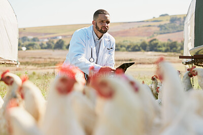 Buy stock photo Healthcare, chicken and farm with a vet man using a tablet for research, free range poultry or sustainability farming. Medical, agriculture and technology with a male veterinarian working in medicine