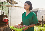 Vet healthcare, farm and woman with egg for quality control, health inspection and check organic chicken product. Sustainability farming, greenhouse farmer and Asian veterinarian for animal care