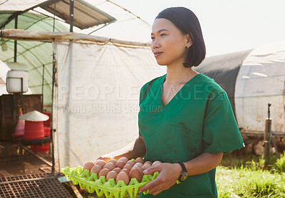 Buy stock photo Vet healthcare, farm and woman with egg for quality control, health inspection and check organic chicken product. Sustainability farming, greenhouse farmer and Asian veterinarian for animal care