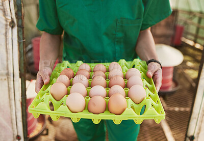 Buy stock photo Farm, healthcare and vet woman with egg for health inspection of animal farming product, chicken eggs or farmer produce. Sustainability, quality control and medical veterinary hands for animal care