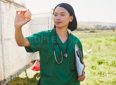 Buy stock photo Asian woman, chicken egg and vet at farm checking health of eggs, quality control or inspection. Agro, poultry farmer and veterinarian nurse in countryside holding food for farming safety compliance.