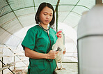 Stethoscope, vet and Asian woman with chicken at farm for health check up, test or examination. Heartbeat, wellness or veterinarian nurse with tool testing bird, animal or hen in barn for healthcare.
