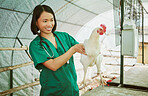 Animal veterinary, chicken farming and woman do medical assessment, inspection or health exam in hen house. Happy asian doctor, poultry and wellness test for bird flu, growth research or care in barn
