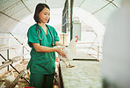 Woman, veterinary or chicken farm check in bird flu vaccine, growth hormone medicine or pet wellness insurance. Happy, healthcare worker or animal doctor and poultry patient on Indonesian countryside