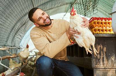 Buy stock photo Chicken farmer, animals and farming with a man holding rooster for care, health and wellness of poultry supply in rural countryside. Happy male in bird coop for sustainability of protein or eggs