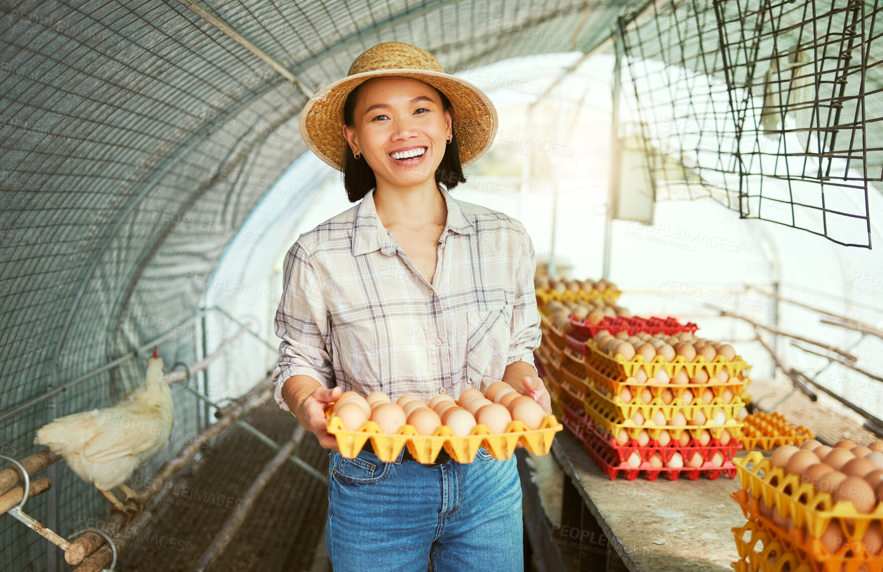 Buy stock photo Asian farmer woman, portrait and egg production for organic small business, sustainability and smile. Happy chicken farming expert, success and vision with agriculture goals in countryside with eggs