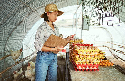 Buy stock photo Chicken farm, egg farming and woman working with animals for management of sustainability, quality control and production of protein food. Asian poultry farmer counting eggs in countryside hen house