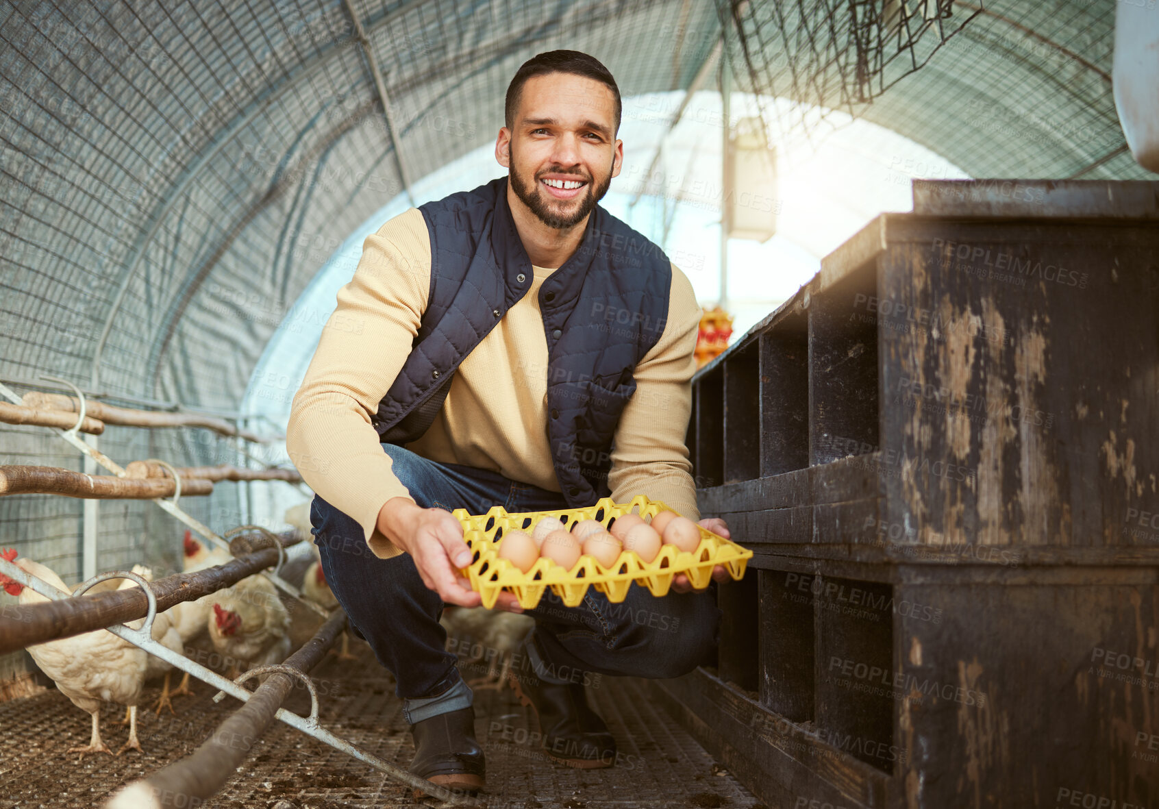 Buy stock photo Farmer, chicken and poultry with man and eggs, farming with livestock and protein, nutrition and organic in chicken coop. Smile, portrait and agriculture, farm food and sustainability with nature.