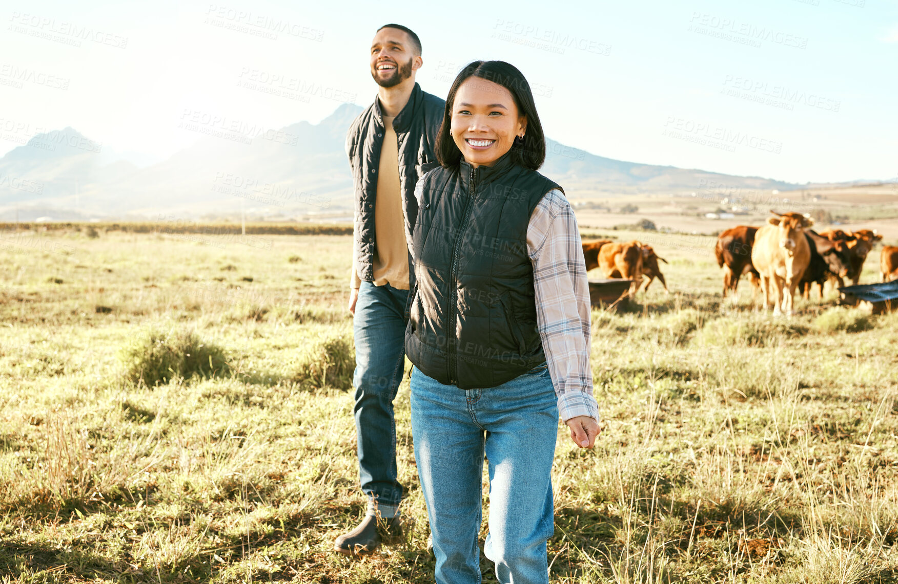 Buy stock photo Farm, agriculture and cattle with a couple walking on a field or meadow together for beef of dairy farming. Cow, sustainability and teamwork with a man and woman farmer bonding while working outdoor