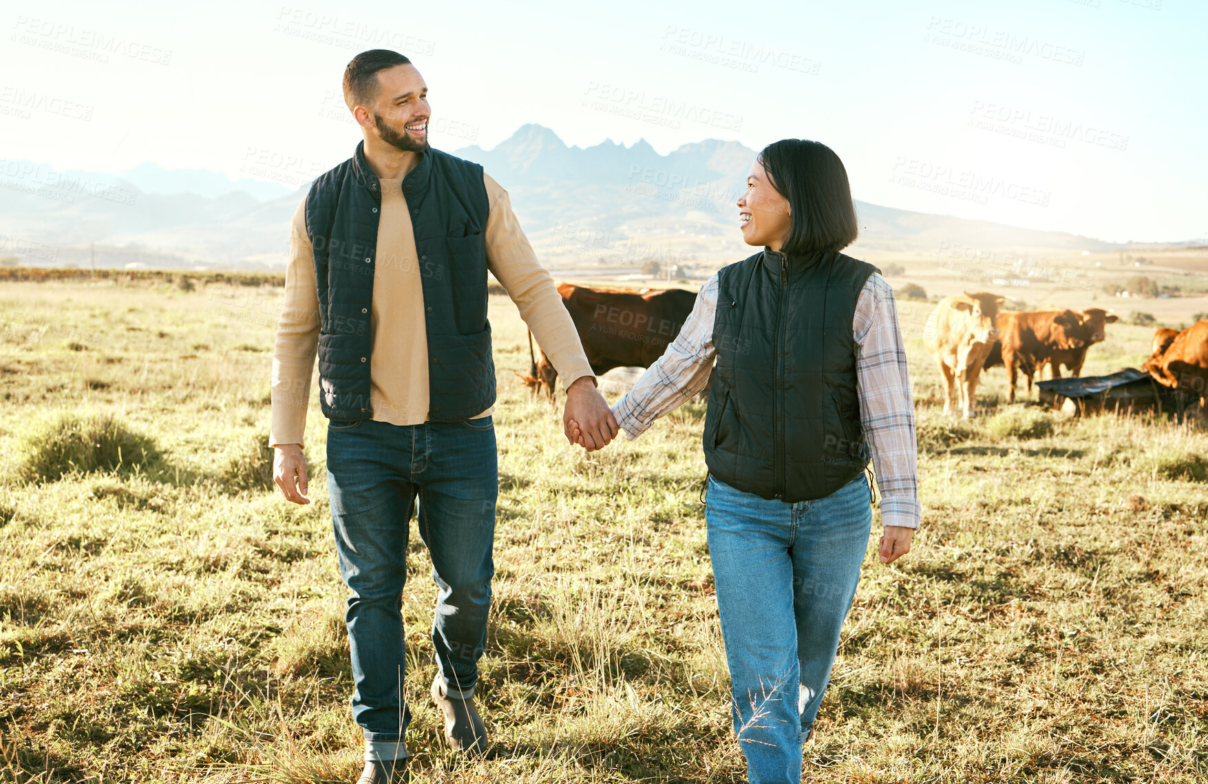 Buy stock photo Farmer couple, cattle farming and happy while holding hands and walking together on grass field of a sustainable farm with cow animals. Woman and man with support for rural countryside lifestyle