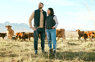 Buy stock photo Cow field, farm and couple in agriculture for small business, eco friendly and sustainability food, supply chain and management. Idea, success and farmer woman, partner and cattle for beef production