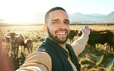 Buy stock photo Agriculture, farming animal and man video call with cattle for social media, eco friendly blog or agro small business advertising. Influencer farmer in portrait selfie for sustainability of cows