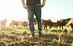Cow, farmer and man on grass field in nature for meat, beef or cattle food industry. Closeup back view of farming livestock, cows and agriculture animals, milk production and management in sunshine 
