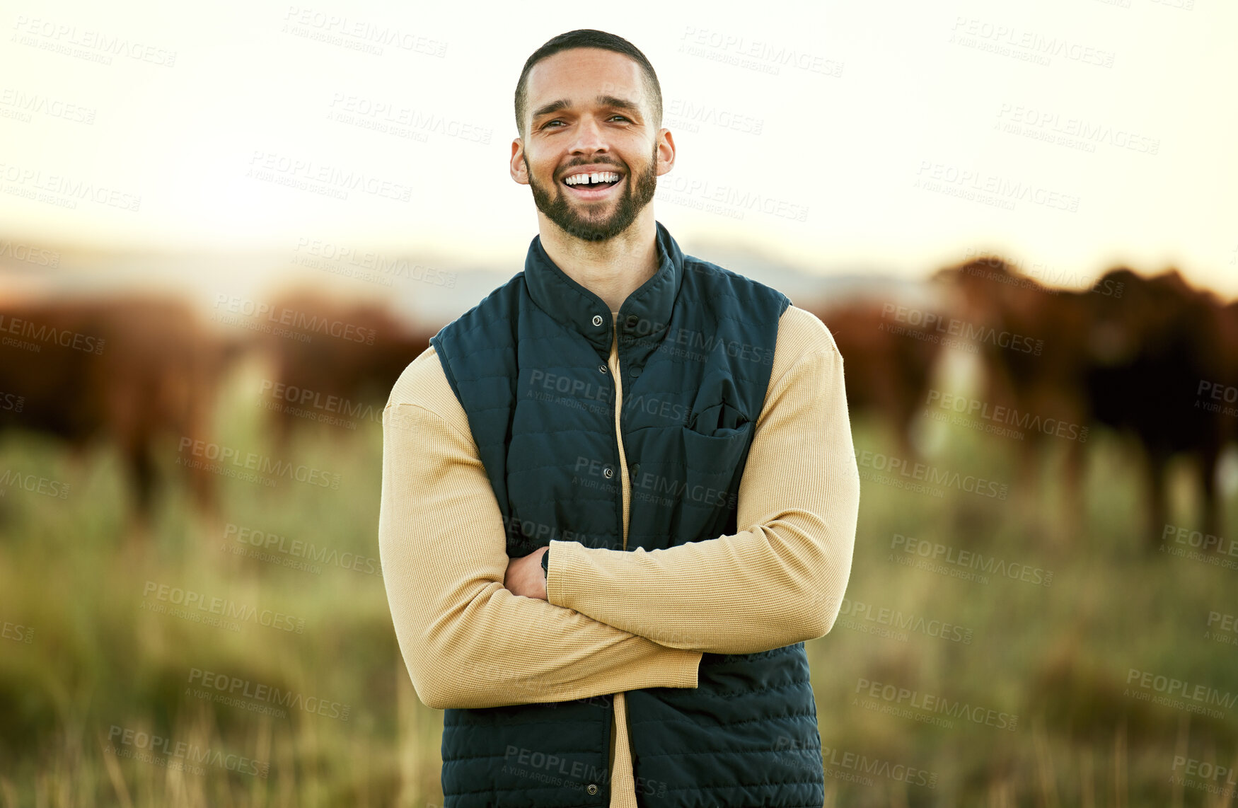 Buy stock photo Smile, cow and agriculture with man on farm for sustainability, production and cattle. Livestock, arms crossed and management with portrait of farmer on countryside field for dairy, animals and care